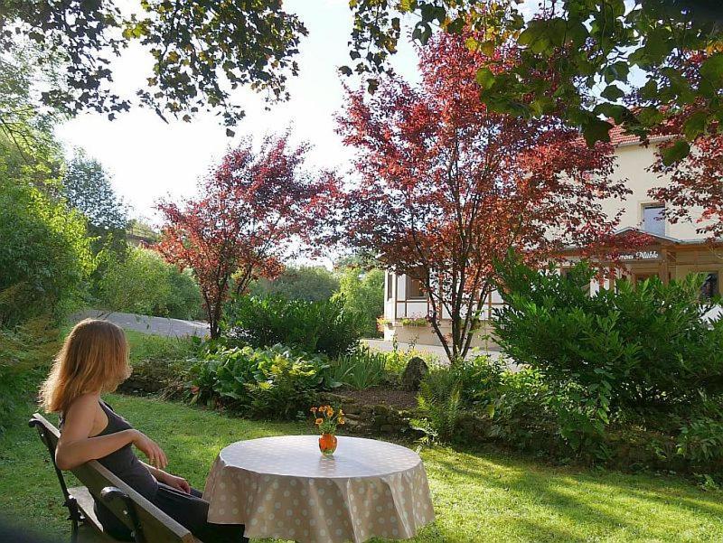 Irreler Muehle Ferienwohnungen Und Ferienhaeuser Extérieur photo
