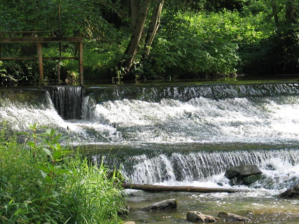 Irreler Muehle Ferienwohnungen Und Ferienhaeuser Extérieur photo