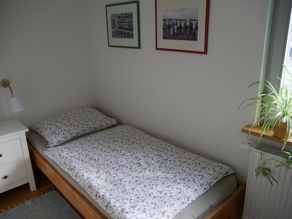 Irreler Muehle Ferienwohnungen Und Ferienhaeuser Extérieur photo